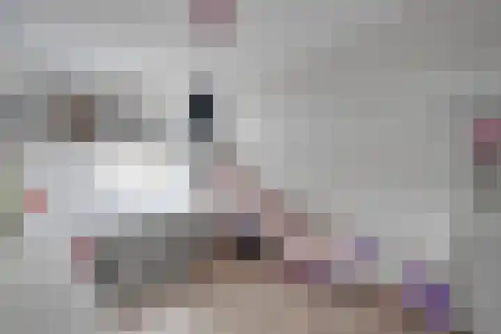 Poptastate 8 Almelo thumbnail 16