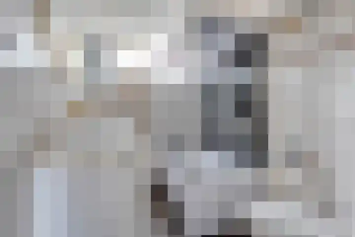 Poptastate 8 Almelo thumbnail 20