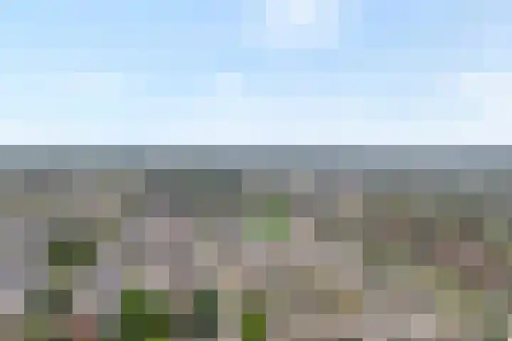 Poptastate 8 Almelo thumbnail 25