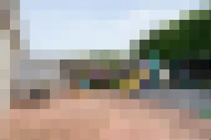 Poptastate 8 Almelo thumbnail 4