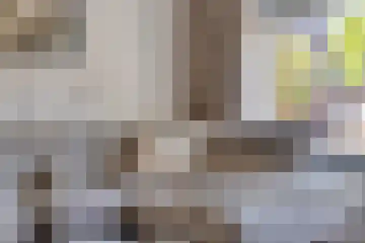Populier 104 Heerenveen thumbnail 10