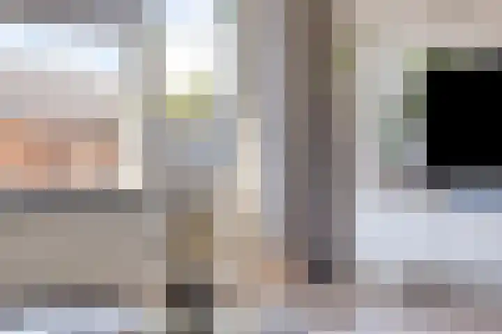 Populier 104 Heerenveen thumbnail 11