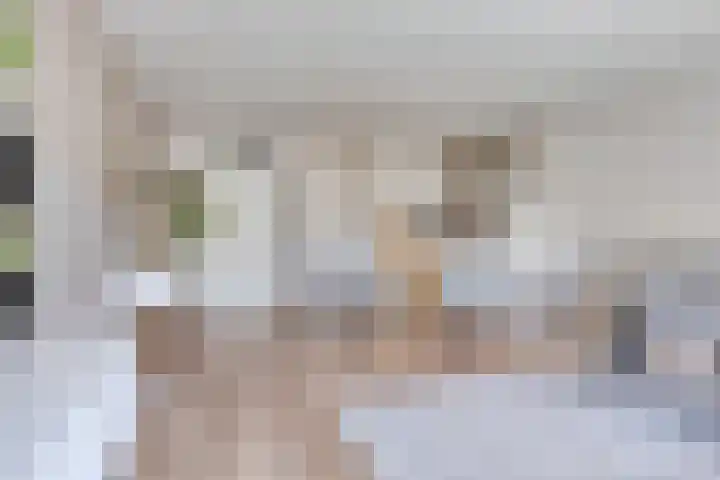 Populier 104 Heerenveen thumbnail 12