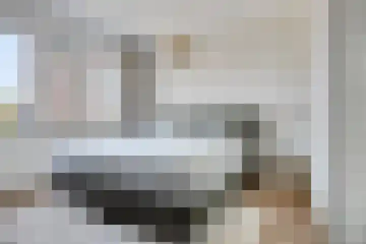 Populier 104 Heerenveen thumbnail 16