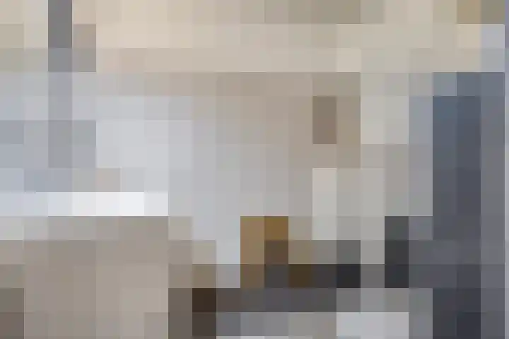 Populier 104 Heerenveen thumbnail 19