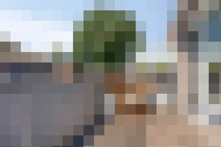 Populier 104 Heerenveen thumbnail 22
