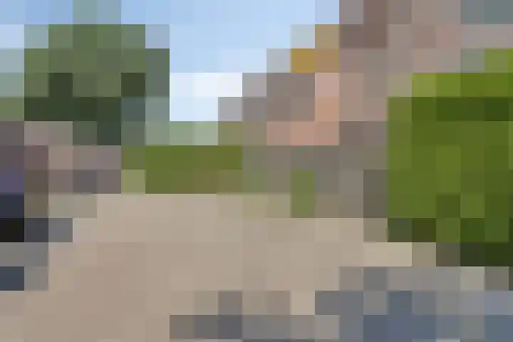 Populier 104 Heerenveen thumbnail 23