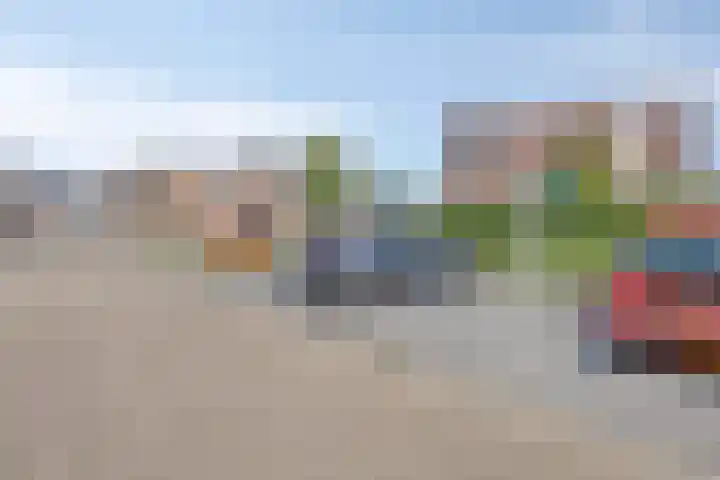 Populier 104 Heerenveen thumbnail 24