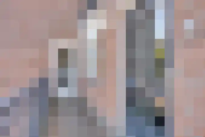 Populier 104 Heerenveen thumbnail 6