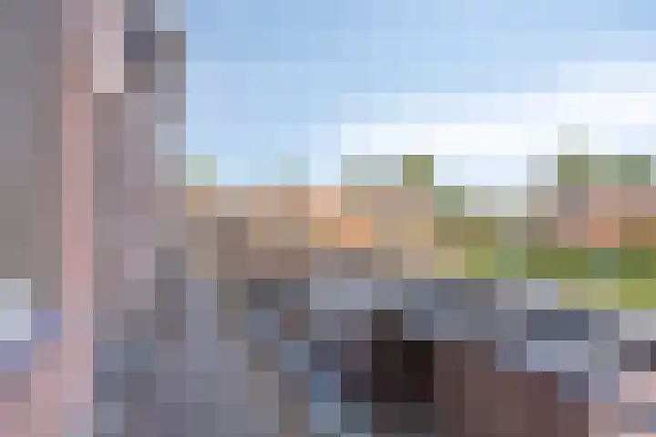 Populier 104 Heerenveen thumbnail 7