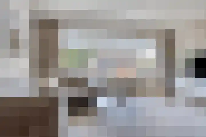 Populier 104 Heerenveen thumbnail 9