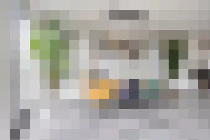 Populier 11 Kaatsheuvel thumbnail 12