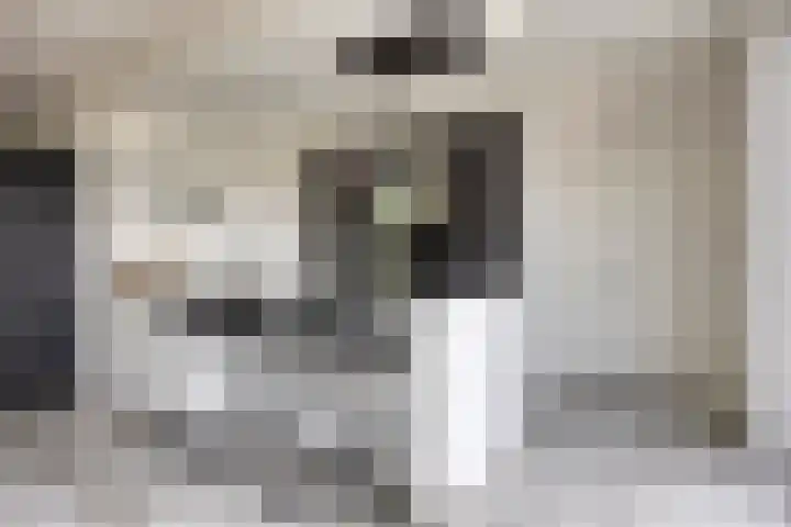 Populier 11 Kaatsheuvel thumbnail 13