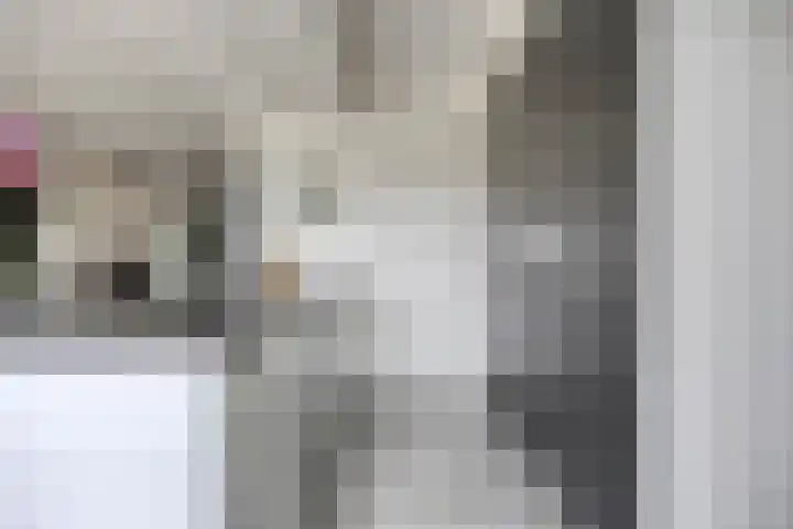 Populier 11 Kaatsheuvel thumbnail 14
