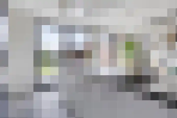 Populier 11 Kaatsheuvel thumbnail 15
