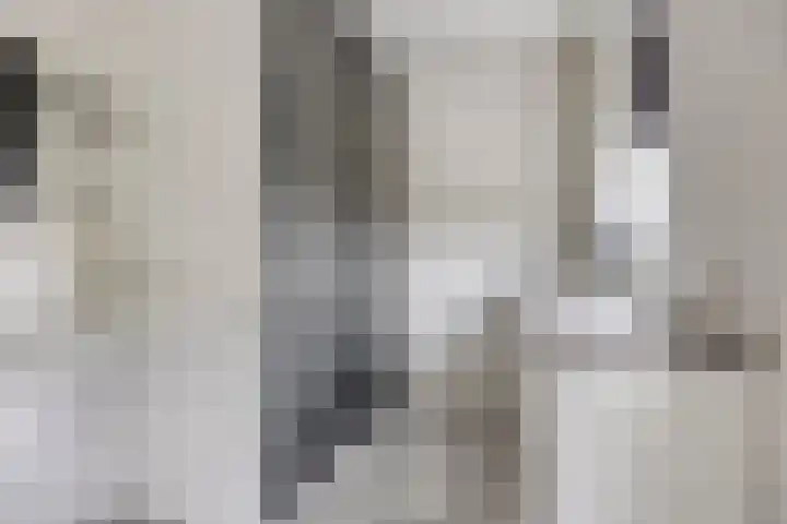 Populier 11 Kaatsheuvel thumbnail 17