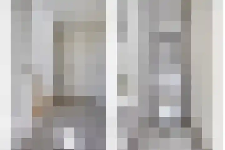 Populier 11 Kaatsheuvel thumbnail 18