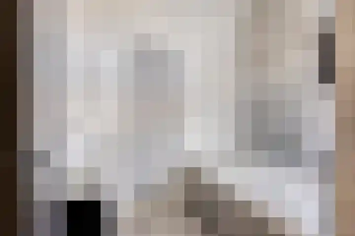 Populier 11 Kaatsheuvel thumbnail 19