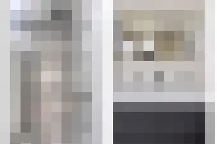 Populier 11 Kaatsheuvel thumbnail 20