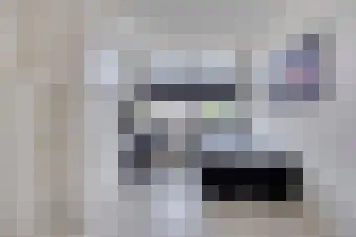 Populier 11 Kaatsheuvel thumbnail 21
