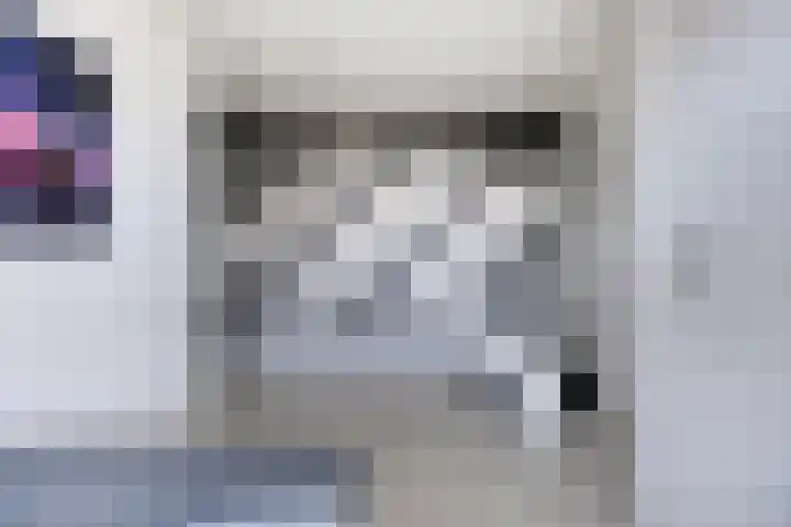 Populier 11 Kaatsheuvel thumbnail 22