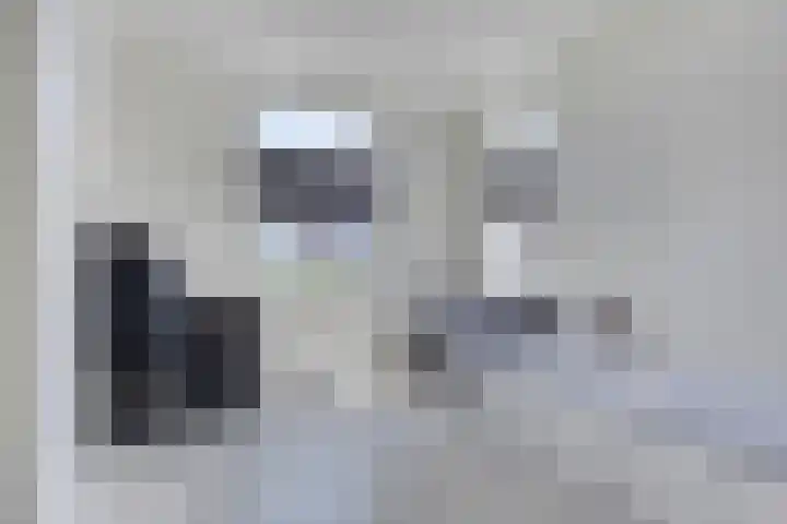 Populier 11 Kaatsheuvel thumbnail 23
