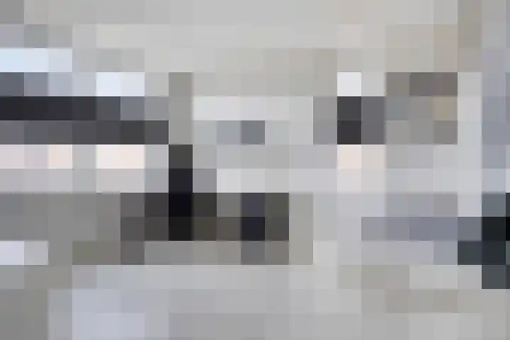Populier 11 Kaatsheuvel thumbnail 25