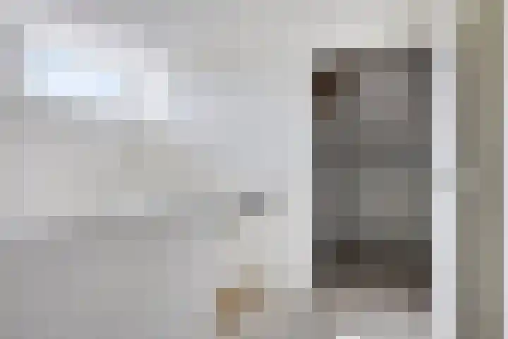 Populier 11 Kaatsheuvel thumbnail 27