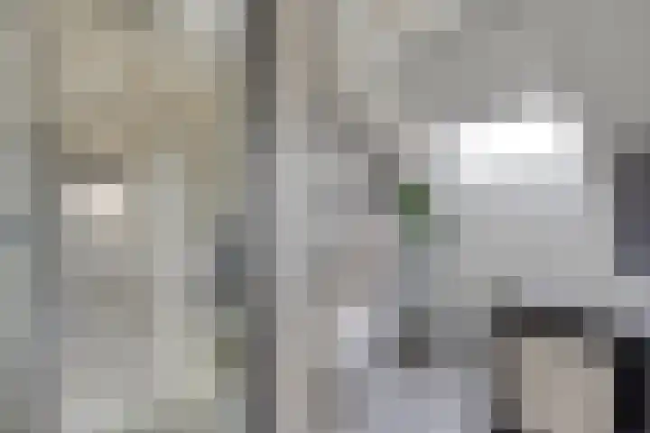 Populier 11 Kaatsheuvel thumbnail 28