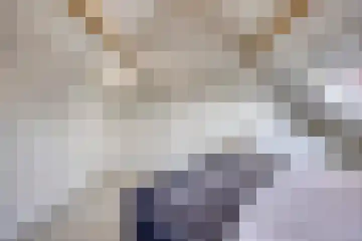 Populier 11 Kaatsheuvel thumbnail 31