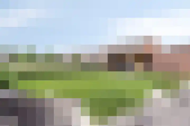 Populier 11 Kaatsheuvel thumbnail 33