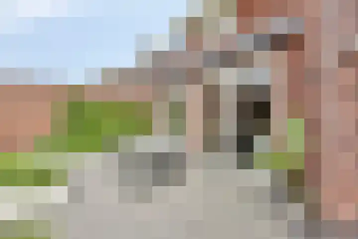 Populier 11 Kaatsheuvel thumbnail 34