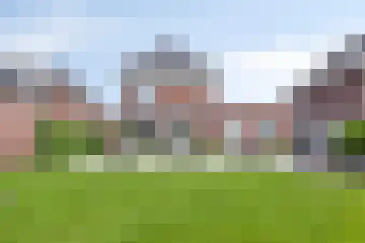 Populier 11 Kaatsheuvel thumbnail 35