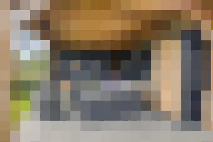 Populier 11 Kaatsheuvel thumbnail 36