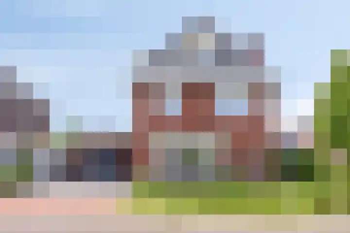 Populier 11 Kaatsheuvel thumbnail 37