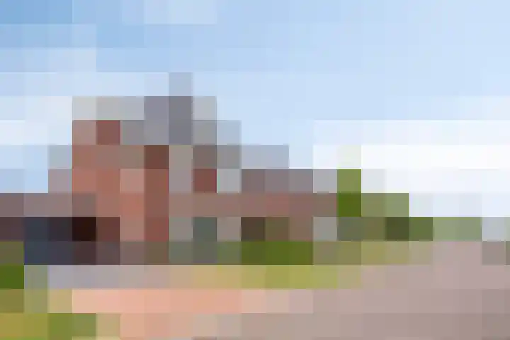 Populier 11 Kaatsheuvel thumbnail 38