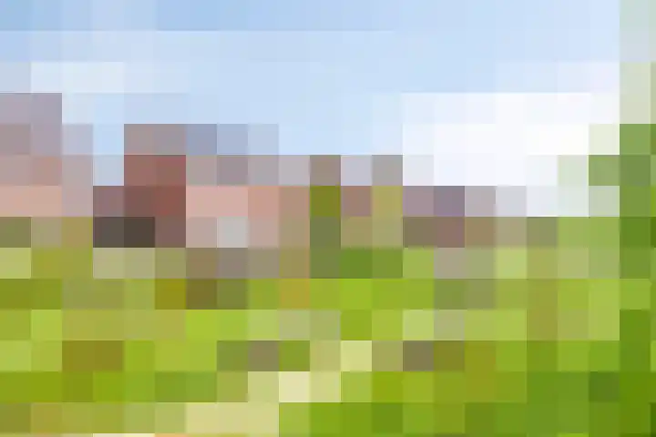 Populier 11 Kaatsheuvel thumbnail 39