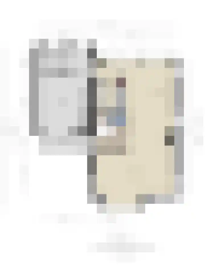 Populier 11 Kaatsheuvel thumbnail 41