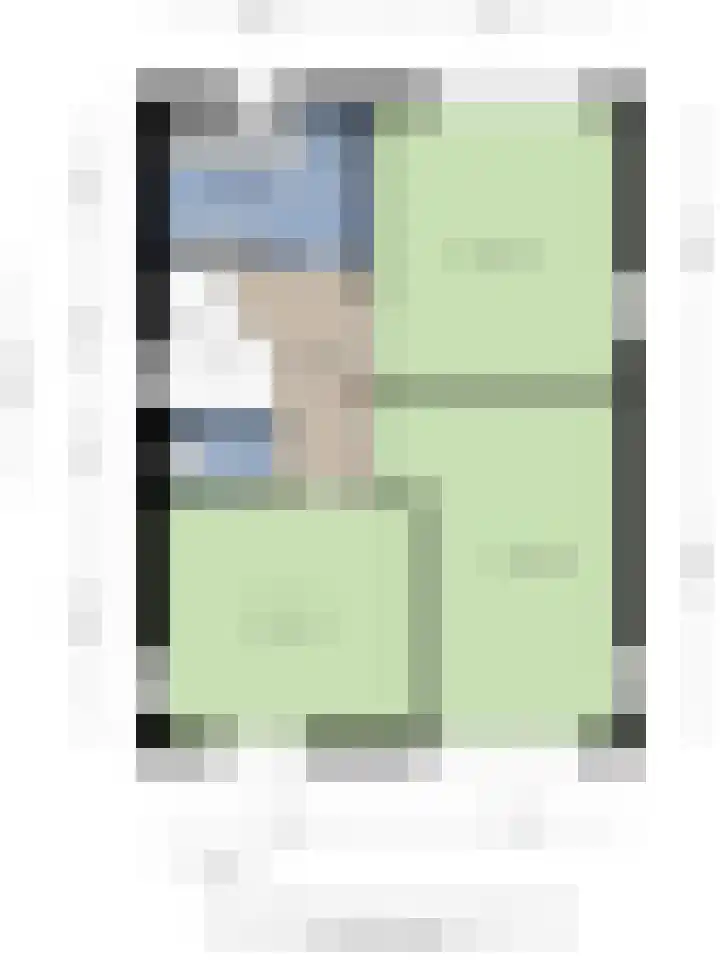 Populier 11 Kaatsheuvel thumbnail 42