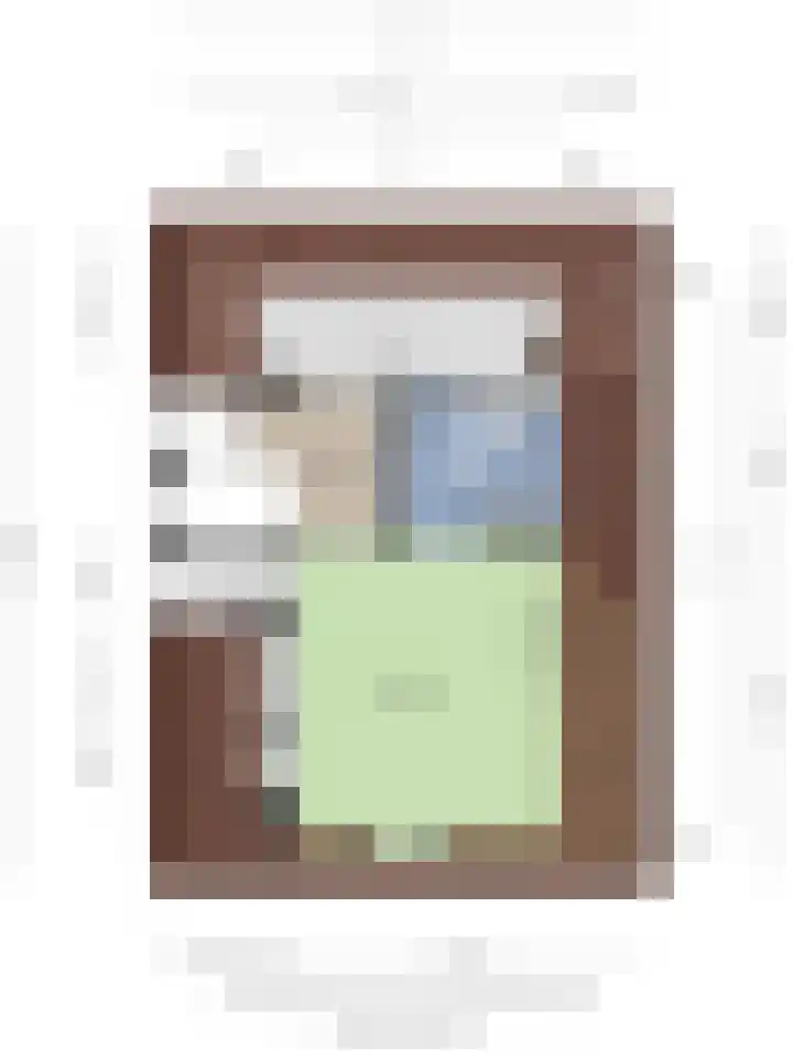 Populier 11 Kaatsheuvel thumbnail 43
