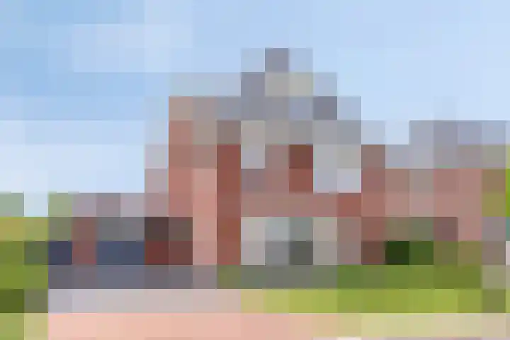 Populier 11 Kaatsheuvel thumbnail 46