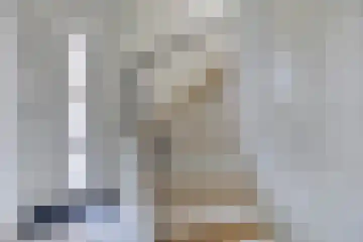 Populier 11 Kaatsheuvel thumbnail 6