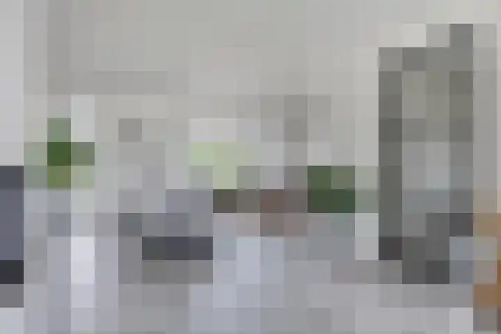 Populier 11 Kaatsheuvel thumbnail 7