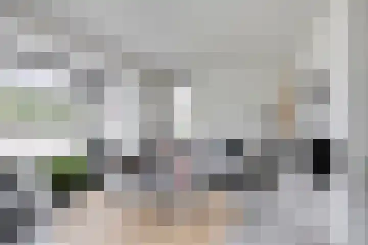 Populier 11 Kaatsheuvel thumbnail 8