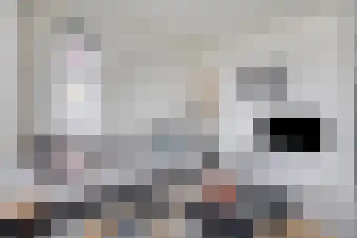 Populier 11 Kaatsheuvel thumbnail 9