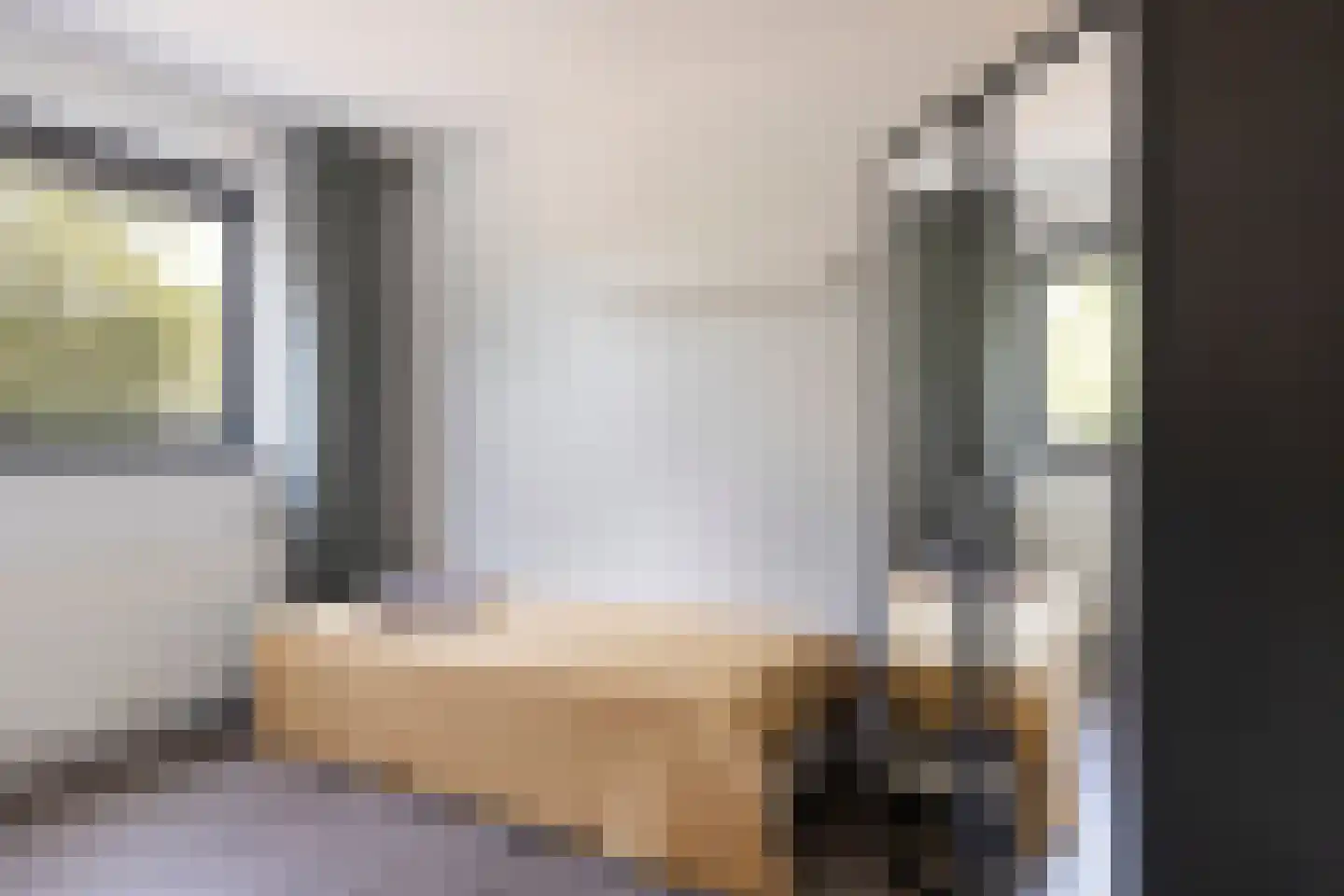 Populier 11 Leek thumbnail 17