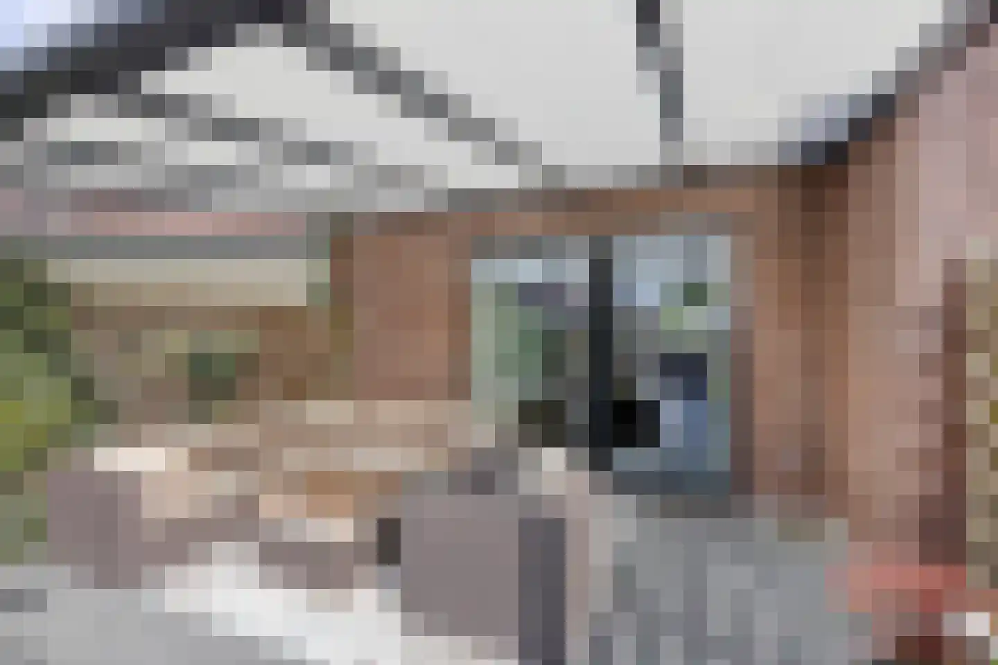 Populier 11 Leek thumbnail 24