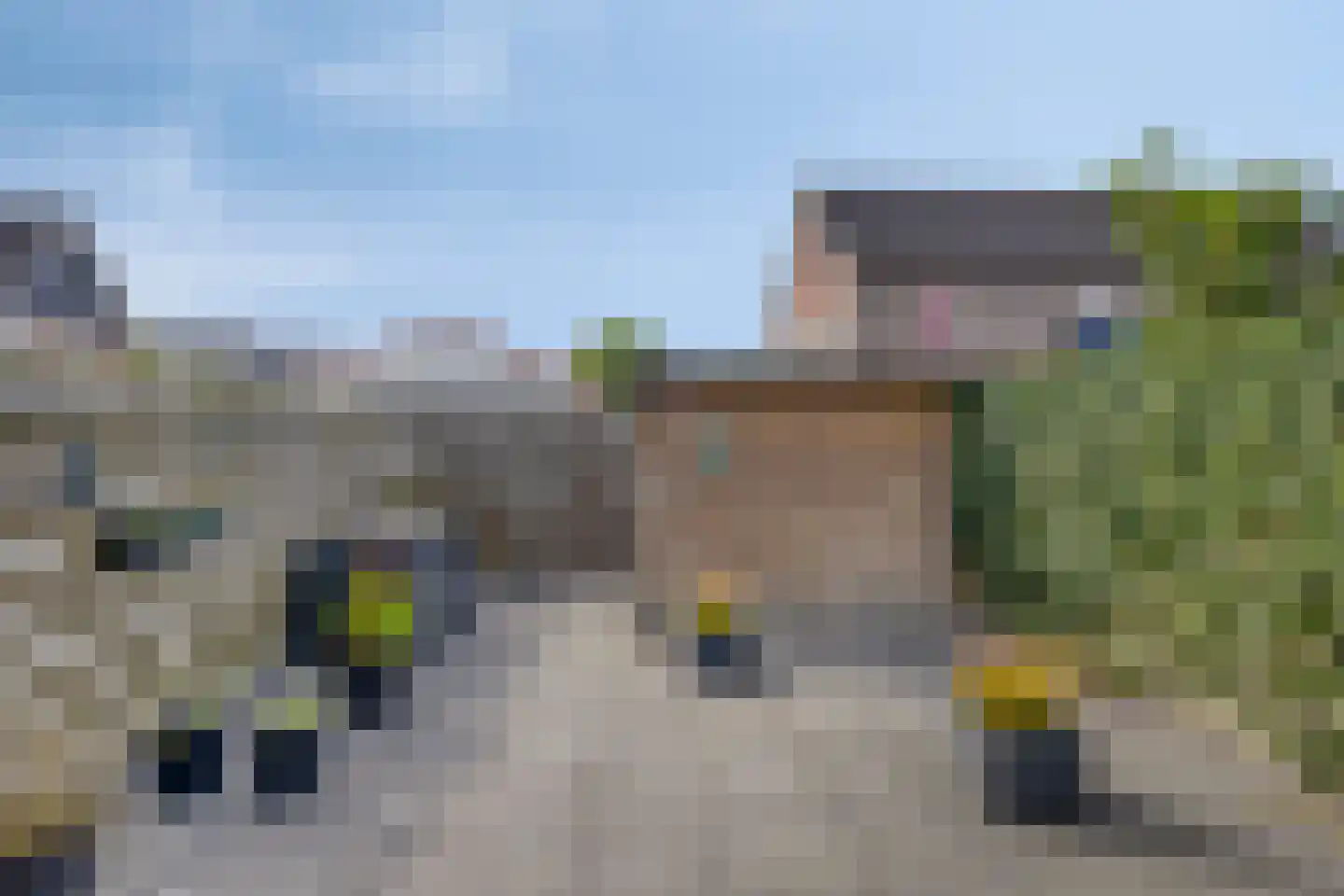 Populier 11 Leek thumbnail 25
