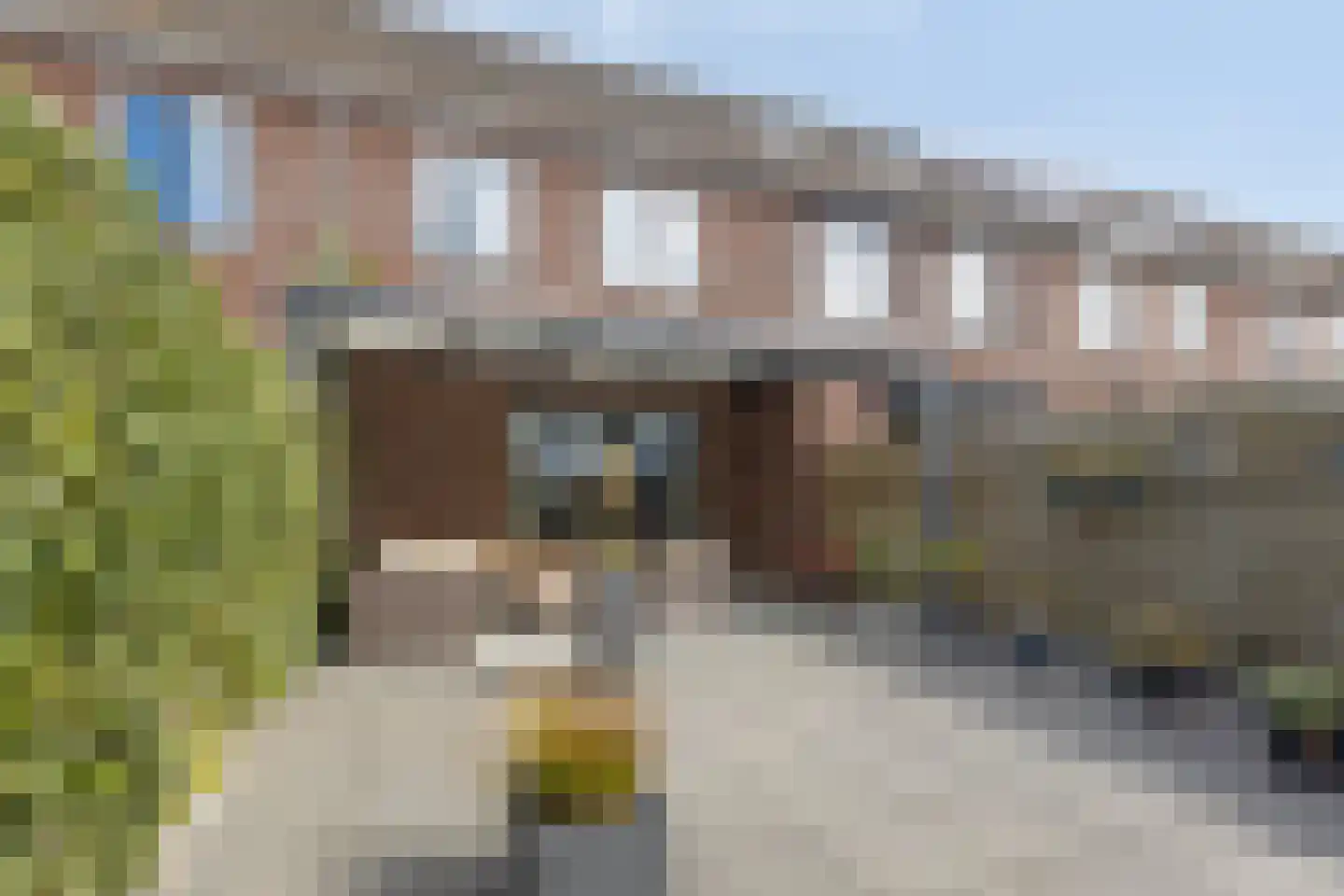 Populier 11 Leek thumbnail 27
