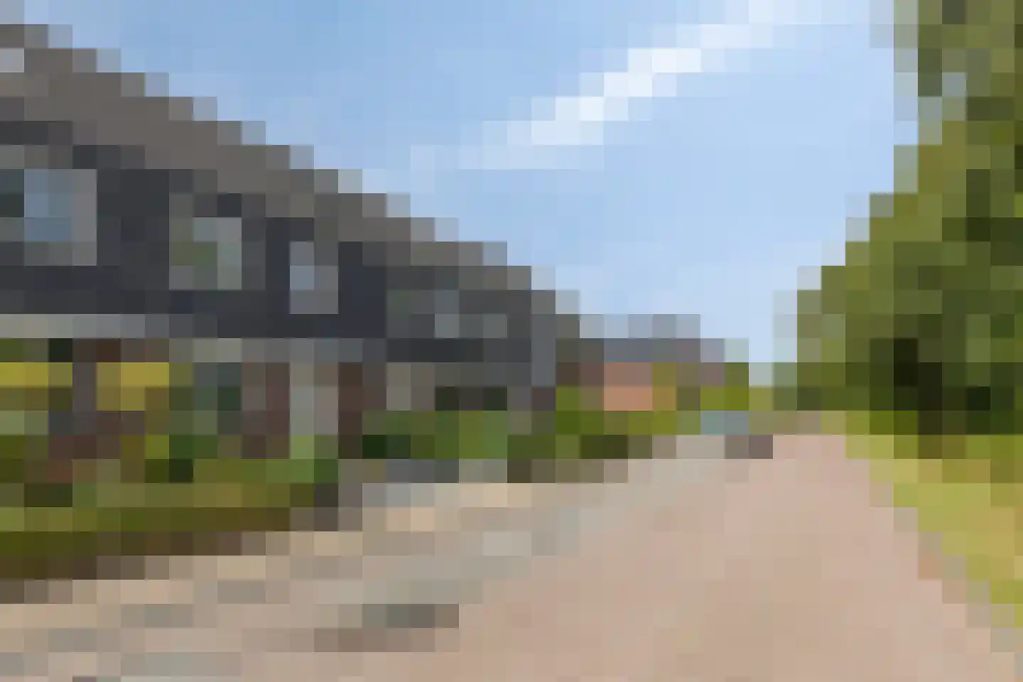 Populier 11 Leek thumbnail 28